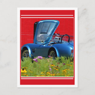 Fast Flowers Postcard