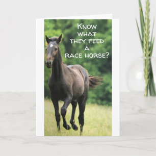 ***FAST FOOD FOR THE HORSE** GET WHAT U WANT TOO!! CARD