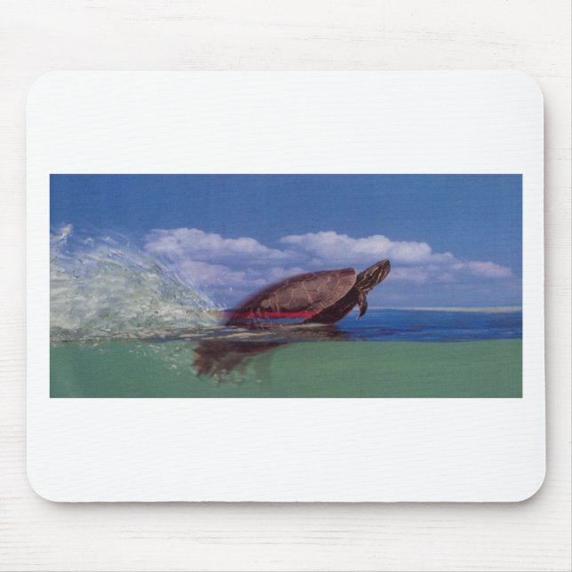 fast turtle mouse mat (Front)
