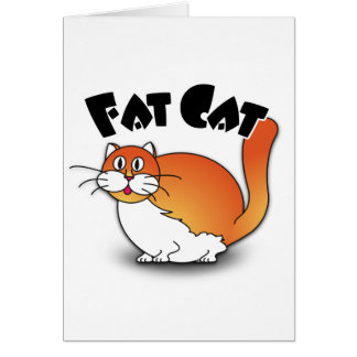 Fat Cat