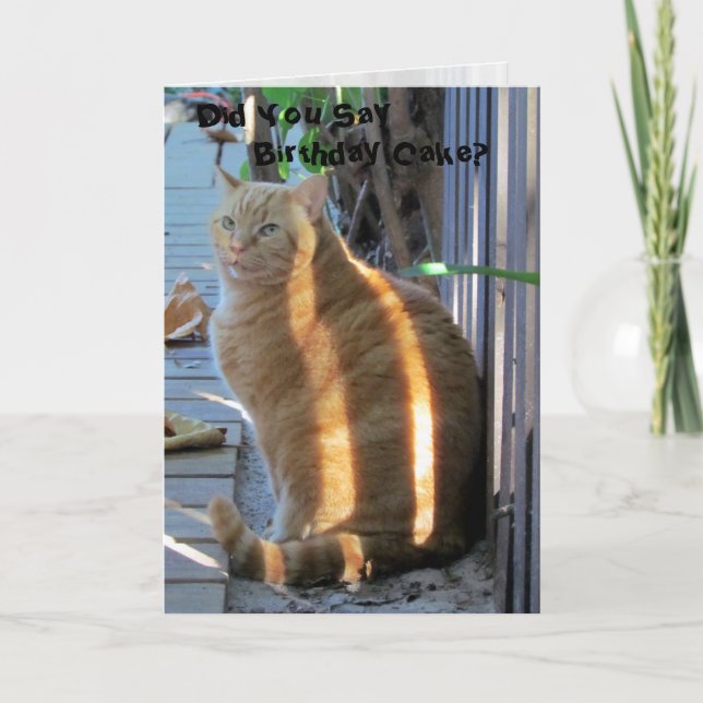 Fat Cat Birthday Card (Front)