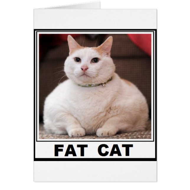 FAT CAT SMILE (Front)