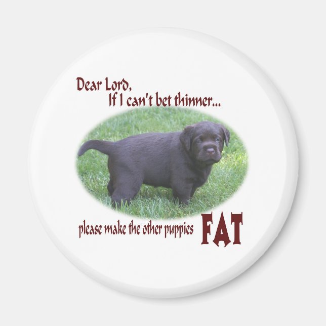 Fat Chocolate Lab Puppy Humour Magnet (Front)