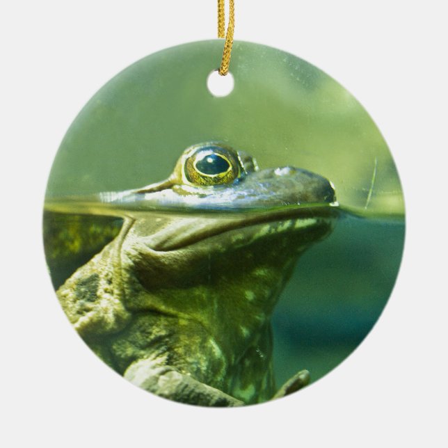 Fat Frog Ceramic Tree Decoration (Front)