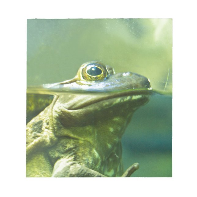 Fat Frog Notepad (Front)