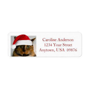 Fat Holiday Cat, Personalised Return Address