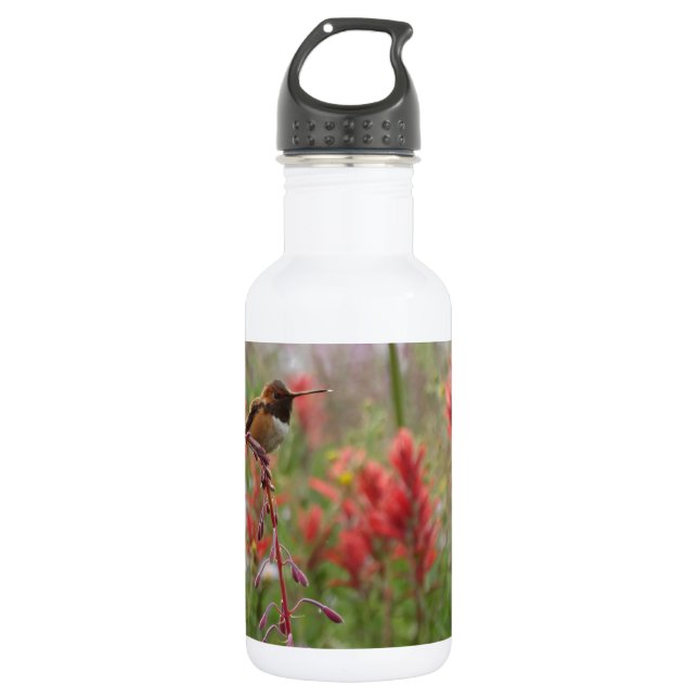 Fat little bird 532 ml water bottle (Front)