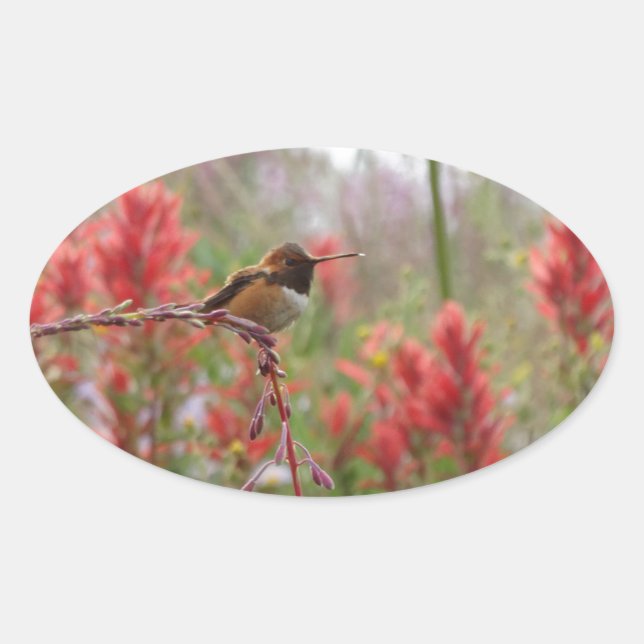 Fat little bird oval sticker (Front)