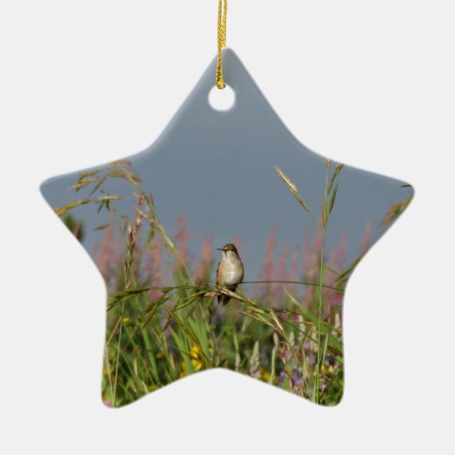 Fat little Hummingbird Ceramic Tree Decoration (Front)