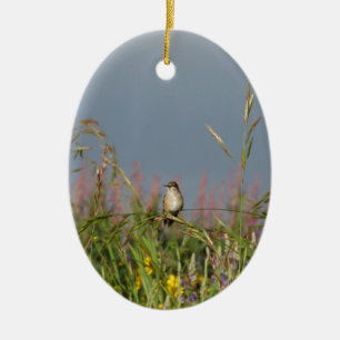 Fat little Hummingbird Ceramic Tree Decoration