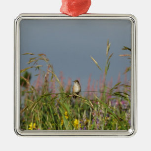 Fat little Hummingbird Metal Tree Decoration