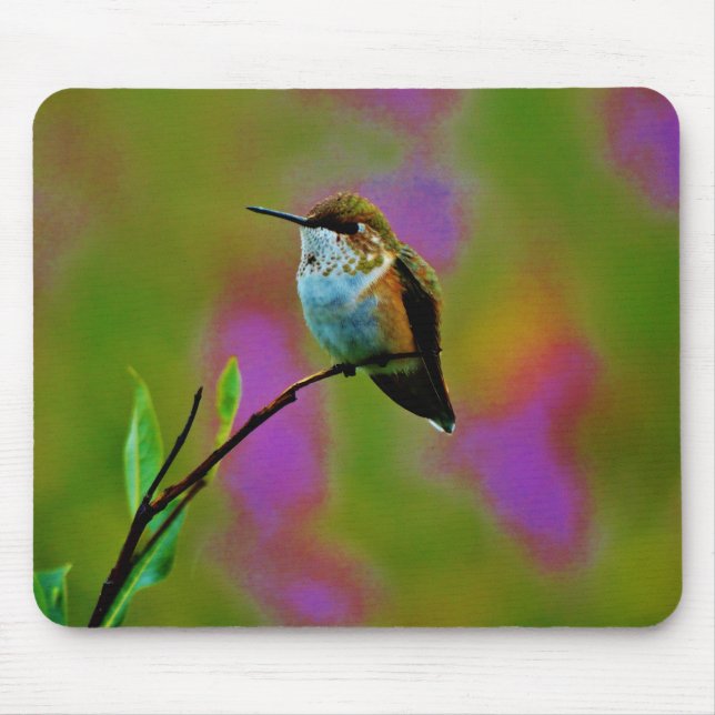 Fat little Hummingbird Mouse Mat (Front)
