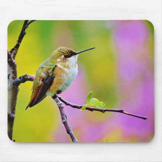 Fat little  Hummingbird Mouse Mat (Front)