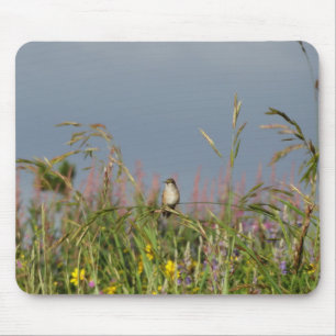 Fat little Hummingbird Mouse Mat