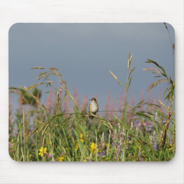 Fat little Hummingbird Mouse Mat (Front)