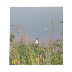 Fat little Hummingbird Notepad