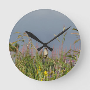 Fat little Hummingbird Round Clock