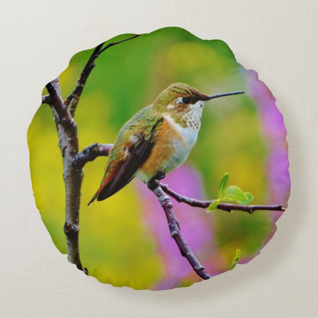 Fat little Hummingbird Round Cushion (Back)
