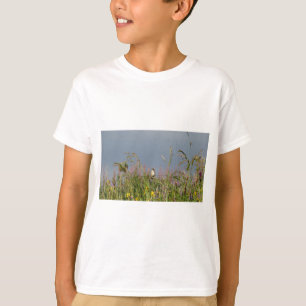 Fat little Hummingbird T-Shirt