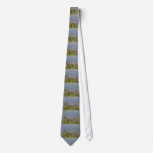 Fat little Hummingbird Tie