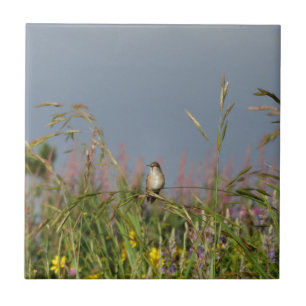 Fat little Hummingbird Tile