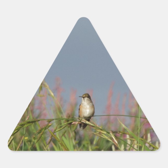 Fat little Hummingbird Triangle Sticker (Front)