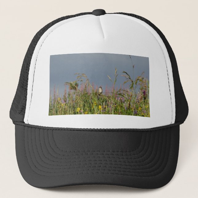 Fat little Hummingbird Trucker Hat (Front)