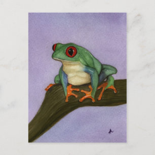 Fat Red Eyed Tree Frog Postcard