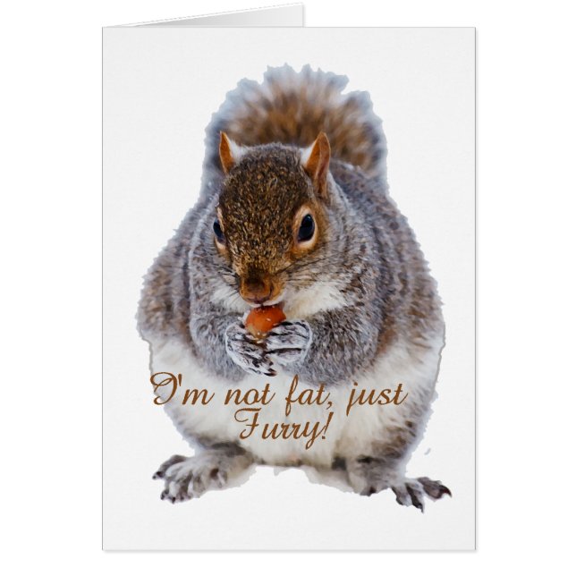 Fat Squirrel (Front)