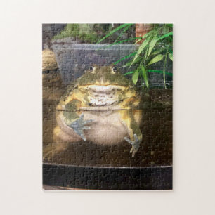 Fat Toad Todd Jigsaw Puzzle