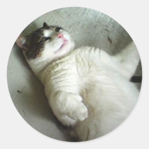 FATBOY LYING DOWN STICKERS