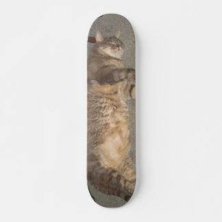 FatCat Board Skateboard