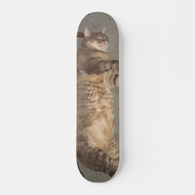 FatCat Board Skateboard (Front)