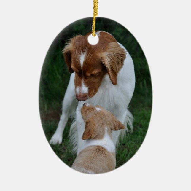 Father & Son Brittany ornament (Front)