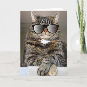 FATHER'S DAY CAT GREETING CARD
