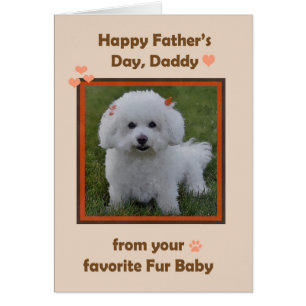 Fathers Day Daddy from Bichon with photo Frame