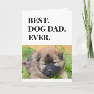 Father's Day Dog Dad Best Ever Pet Photo Card