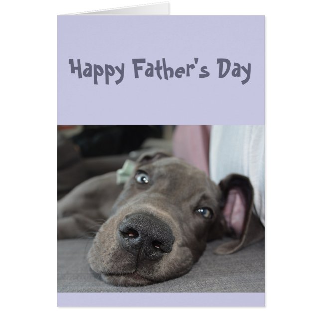 Father's Day Don't over do it Partying Take a Nap (Front)