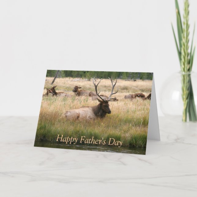 Father's Day Elk Card (Front)