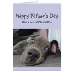 Father's Day Fun Social Distancing Great Dane Dog