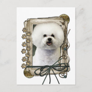 Fathers Day - Stone Paws - Bichon Frise Postcard