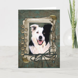 Fathers Day - Stone Paws - Border Collie Card