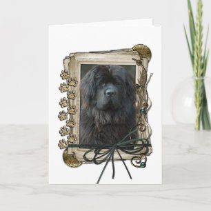 Fathers Day - Stone Paws - Newfoundland Card