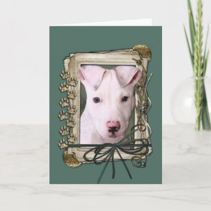 Fathers Day - Stone Paws - Pitbull Puppy Card