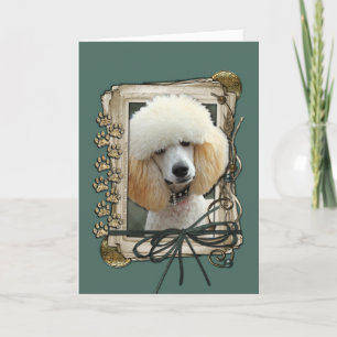 Fathers Day - Stone Paws - Poodle - Apricot Card