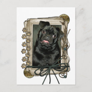 Fathers Day - Stone Paws - Pug - Ruffy Postcard