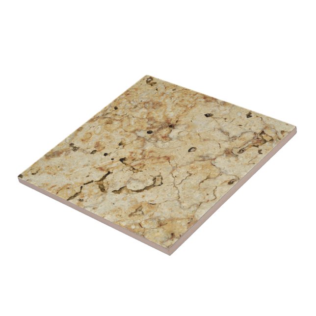 Faux Beige Brown Marble Stone Ceramic Tile (Side)