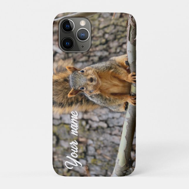 Faux fox squirrel Case-Mate iPhone case (Back)