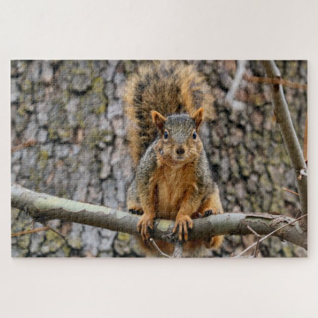 Faux fox squirrel jigsaw puzzle (Horizontal)