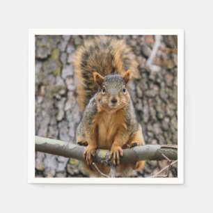 Faux fox squirrel napkin